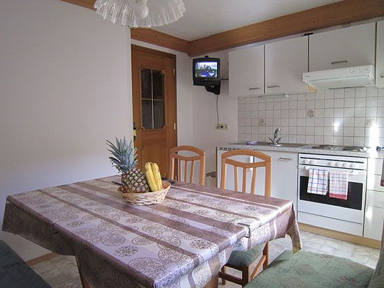 Appartement Südtirol mit Küche im Haus Hollaus in Gerlos Tirol